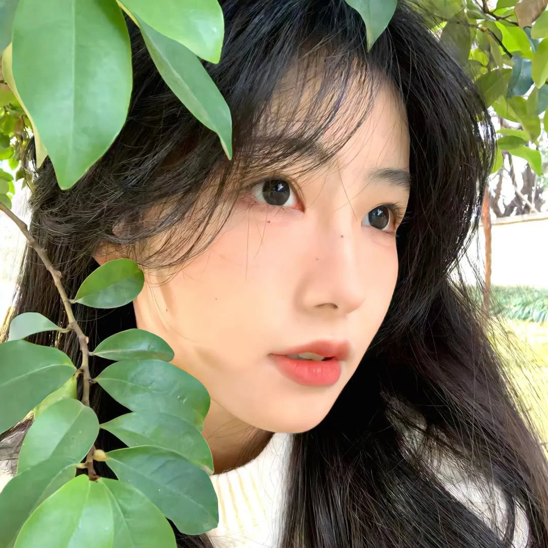 大道朝天